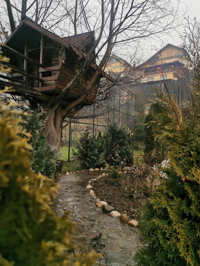 Doftana Apartaments Tesila Екстер'єр фото