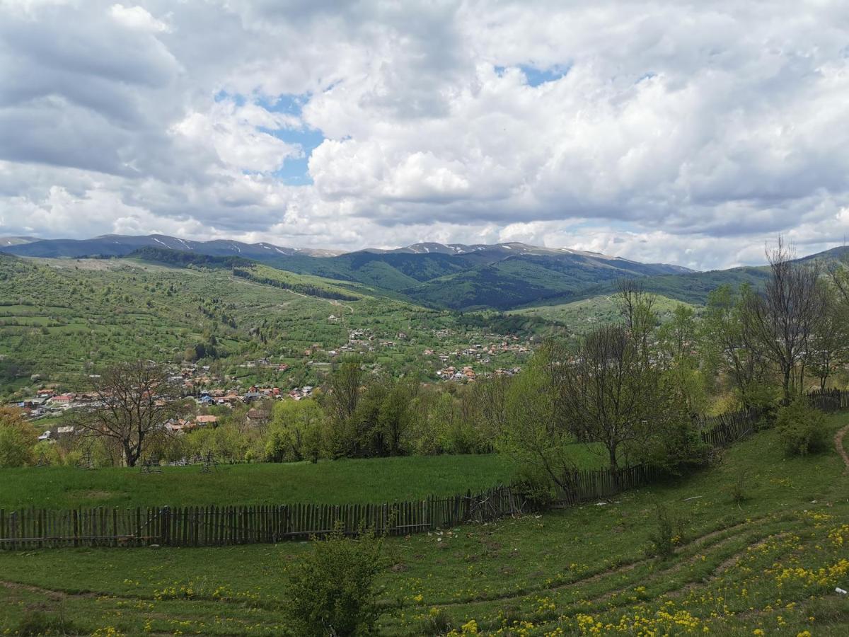 Doftana Apartaments Tesila Екстер'єр фото