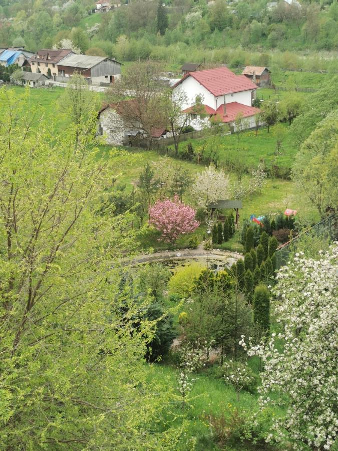 Doftana Apartaments Tesila Екстер'єр фото