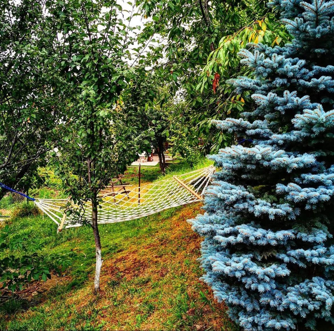 Doftana Apartaments Tesila Екстер'єр фото