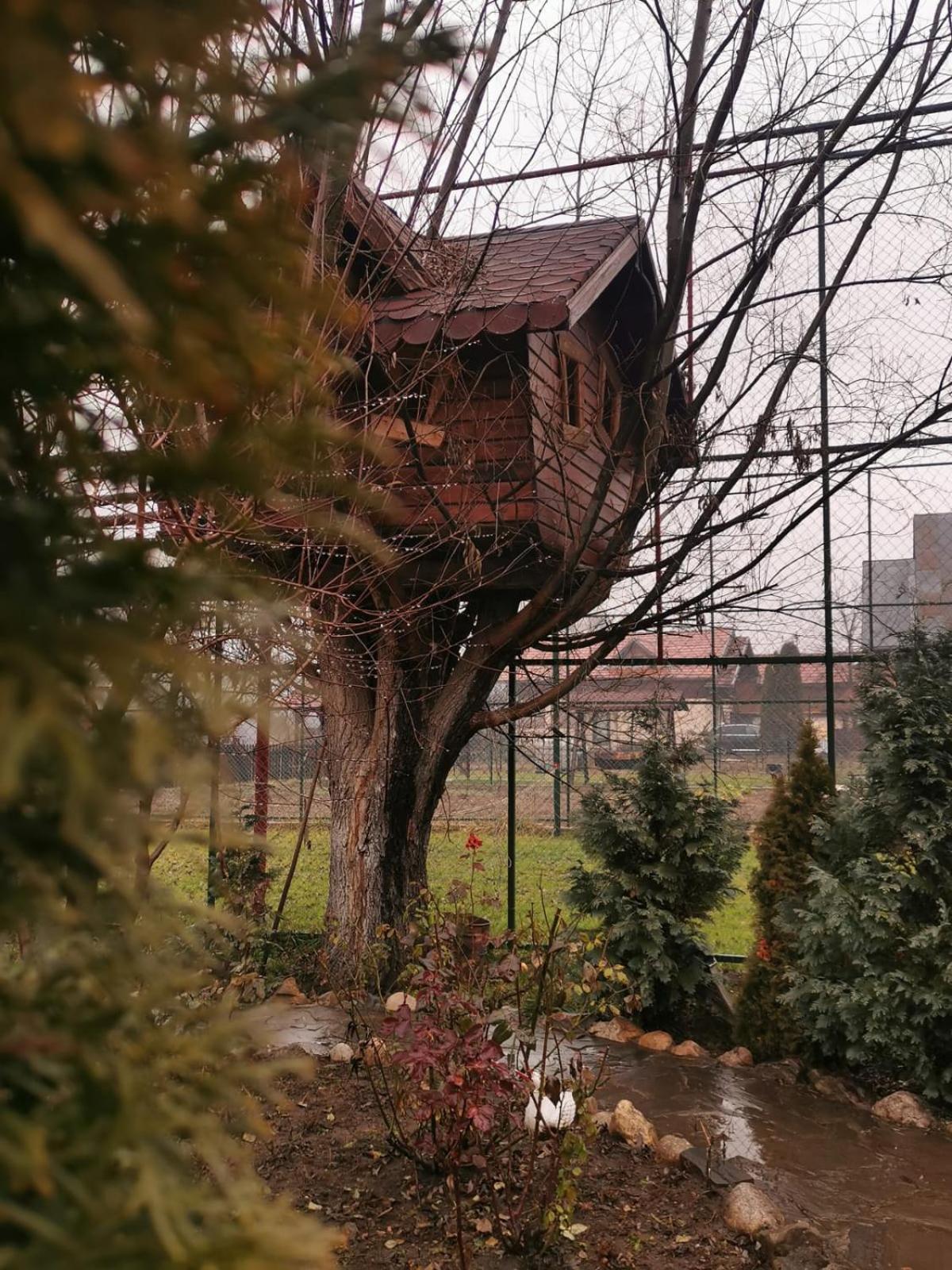 Doftana Apartaments Tesila Номер фото